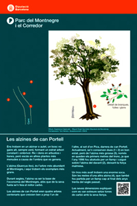 Plafons informatius