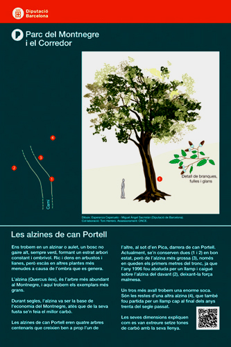 Plafons informatius
